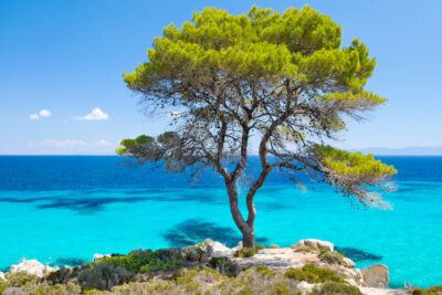 Greece,Halkidiki,Beaches,summer,Holidays,Diving,Tour